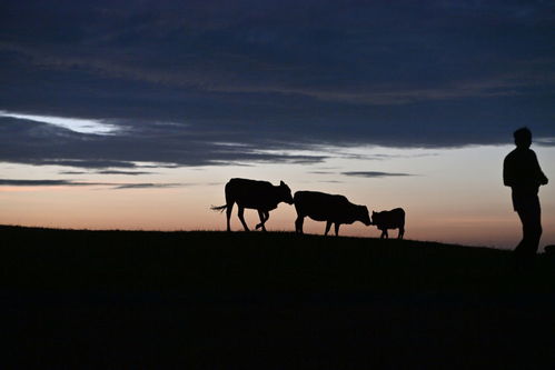 文化中國行 傳統村落人文影像志丨堯告村 云端古寨寄鄉愁
