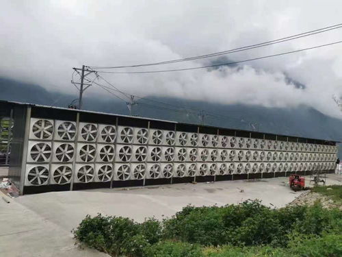 幣圈地震卻 無(wú)人傷亡 炒幣者虧100萬(wàn)也要繼續(xù)買(mǎi),礦廠(chǎng)借私人電站挖礦