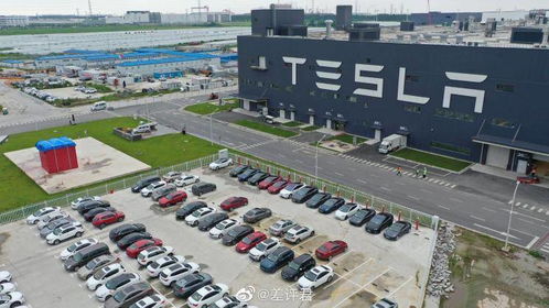 或為營銷 特斯拉上海工廠現(xiàn)神秘空投箱